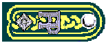 fp1sgt.gif (2285 bytes)